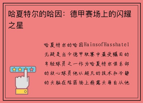 哈夏特尔的哈因：德甲赛场上的闪耀之星